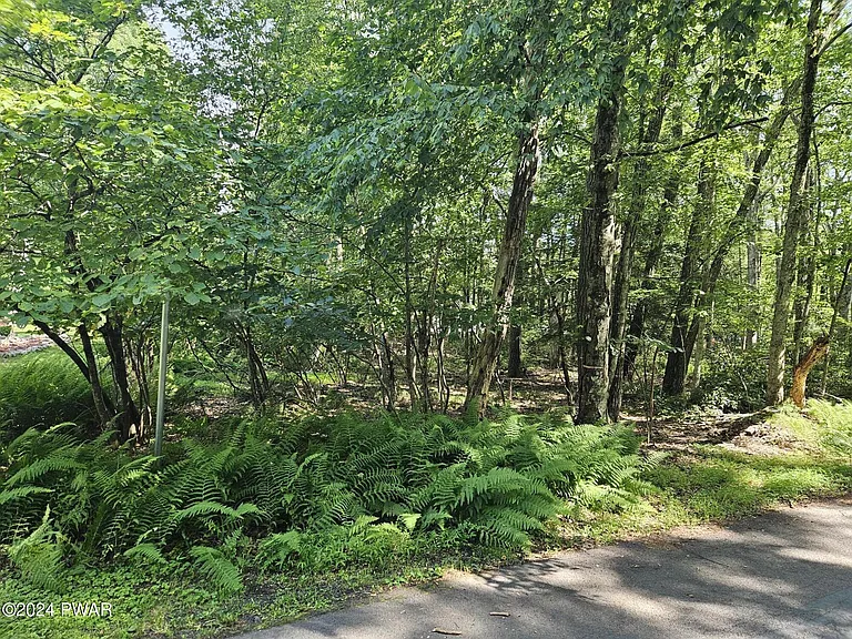 Shohola, Pennsylvania:
$19,500 Purchase
Land